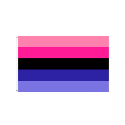 ডিজিটাল প্রিন্টিং রেইনবো LGBT পতাকা 3x5Ft 100D পলিয়েস্টার অগ্রগতি পতাকা