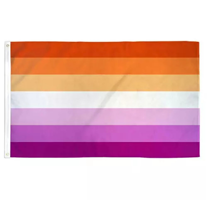 ডিজিটাল প্রিন্টিং রেইনবো LGBT পতাকা 3x5Ft 100D পলিয়েস্টার অগ্রগতি পতাকা